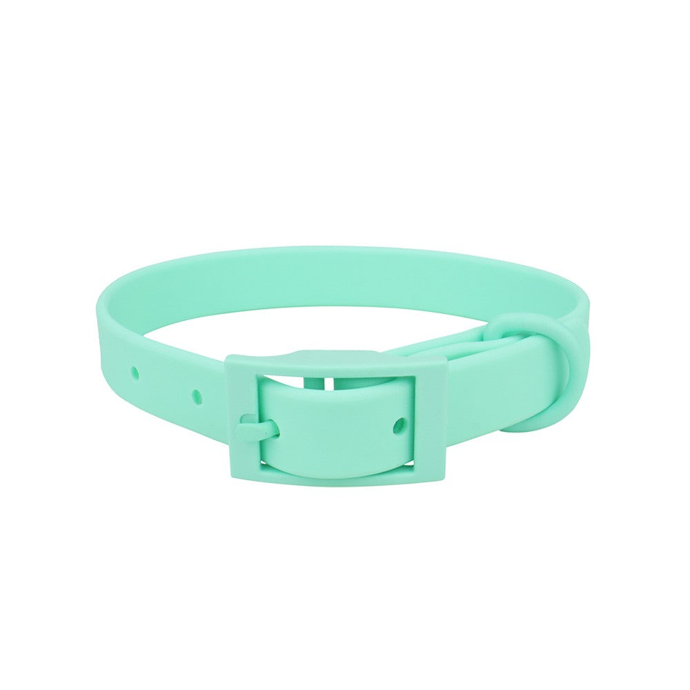 Mint waterproof PVC collar with matching mint buckle