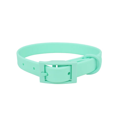Mint waterproof PVC collar with matching mint buckle