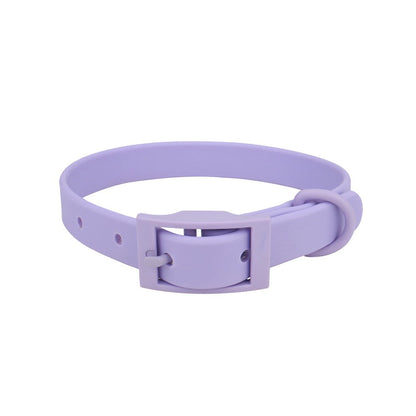 Lilac waterproof PVC collar with matching lilac buckle