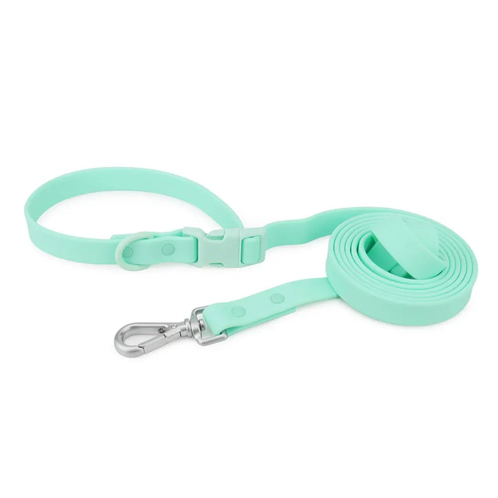 Mint waterproof crossbody leash