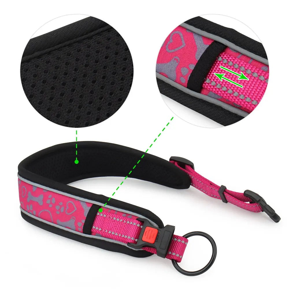 Close-up of the soft padded lining and reflective trim of the wide dog collar