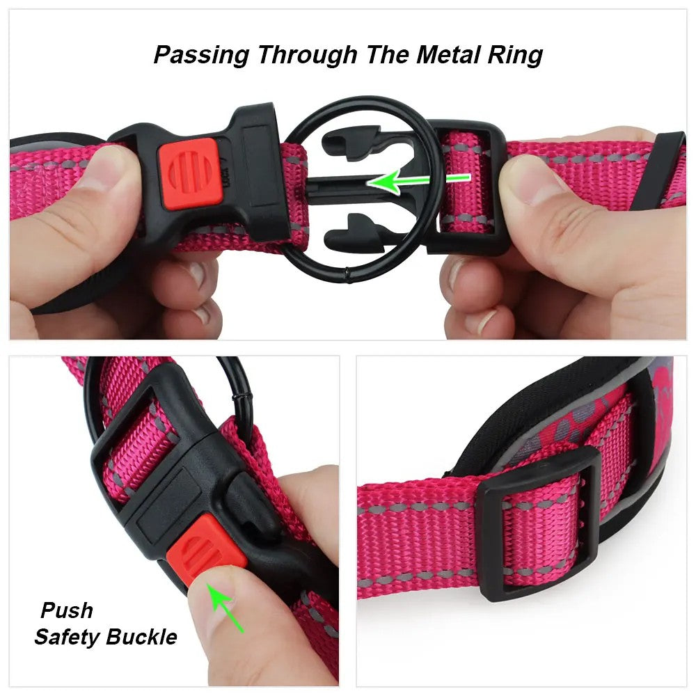 Side-release buckle passing through the metal ring and the push safety catch